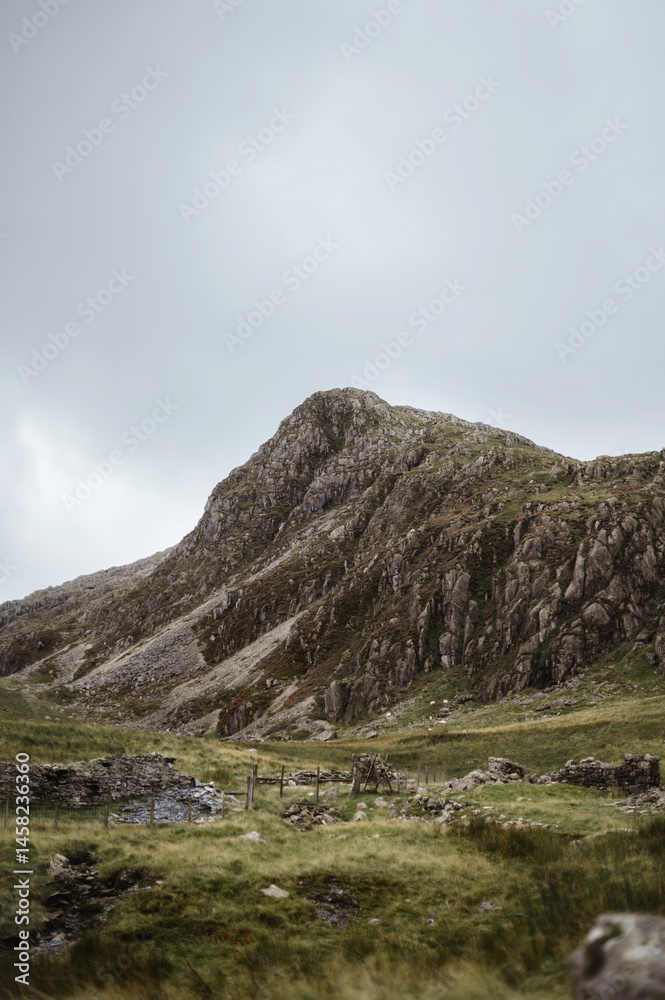 Fototapeta premium the summit rocky mountain. green grass on the front.