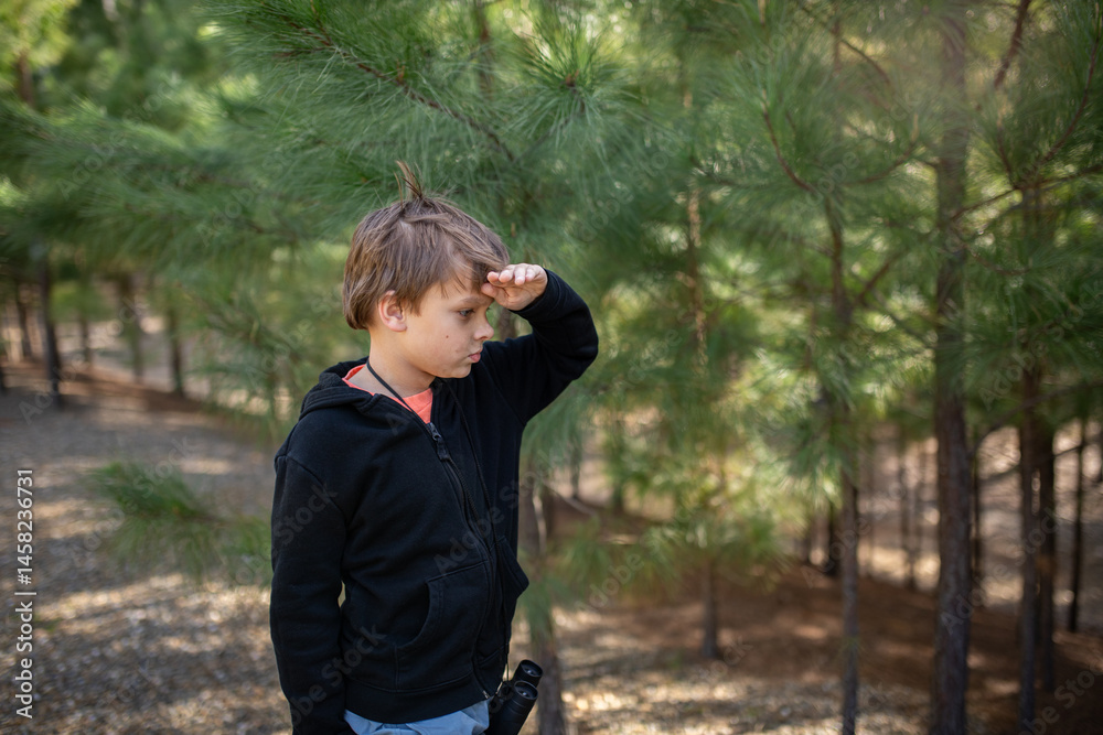 Fototapeta premium boy with binoculars surrounded by pines tress and golden light
