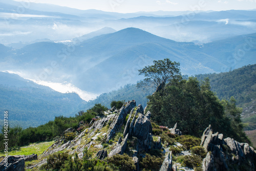View of mountains wrapped in fog photo