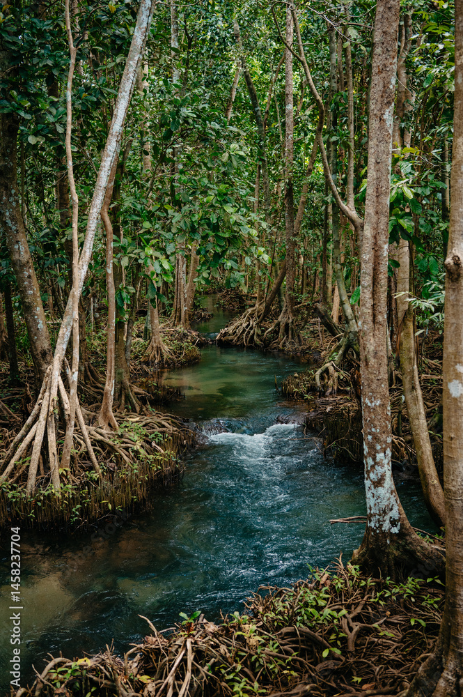 Fototapeta premium Two Water Canal in Krabi, Thailand: Tha Pom Khlong Song Nam