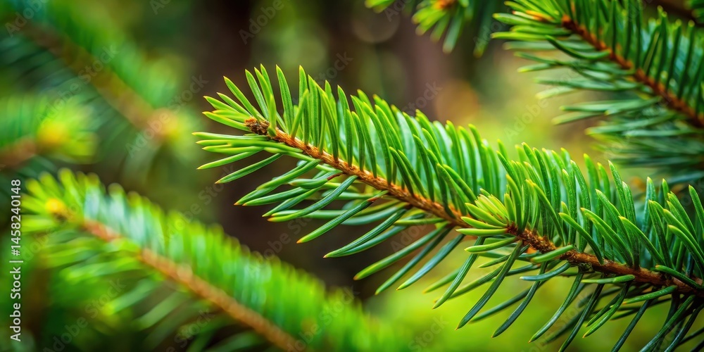 Fototapeta premium Closeup of Coniferous Needles, foliage, forest, foliage, forest,coniferous pine needles, leaf,