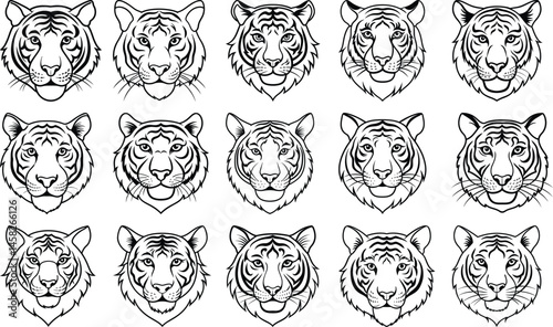 Tiger head line art set 