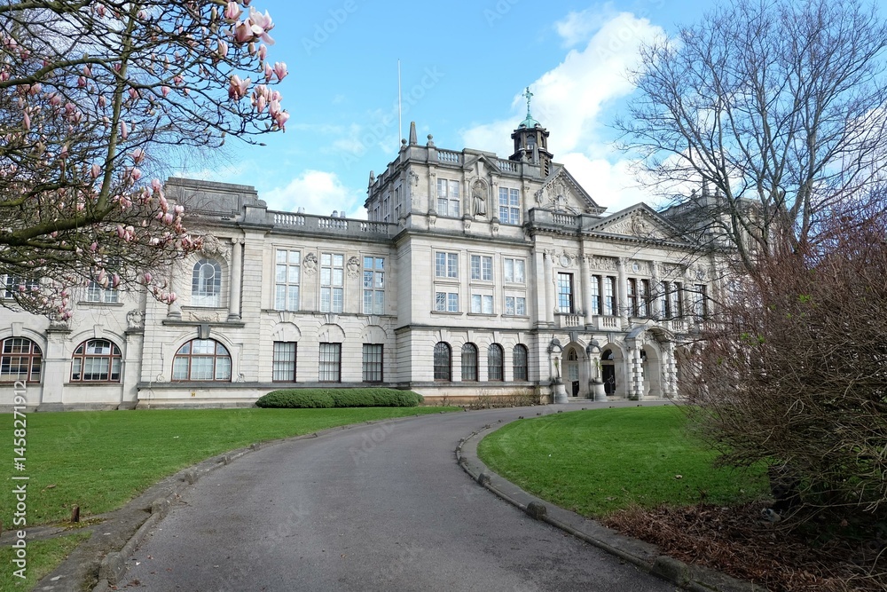 Naklejka premium Stunning landscape featuring breathtaking views of serene nature. Capture the beauty of majestic mountains, lush forests, tranquil lakes, and peaceful beaches. Perfect for any project looking to evoke