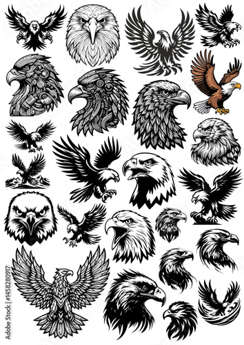 Hand drawn eagle head emblem set. Mascot bird collection. Predator logo illustration isolated on white.