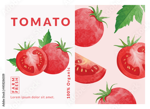 Tomato packaging design templates, watercolour style vector illustration.	
