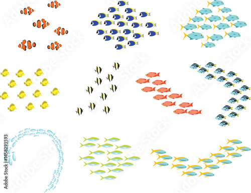 A vibrant set of tropical fish illustrations in various swimming formations, ideal for ocean themes, marine visuals, and aquarium inspired designs.