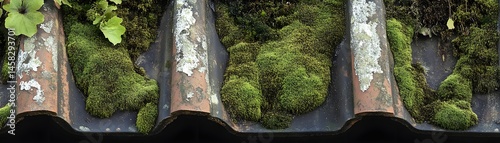 Moss-covered architectural details of aged roofing tiles