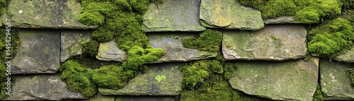 Obraz na płótnie Close-up view of mossy stone wall panels. w salonie