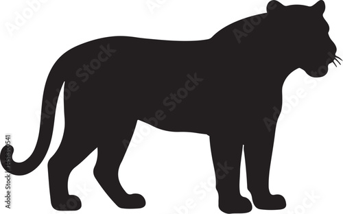 black panther vector