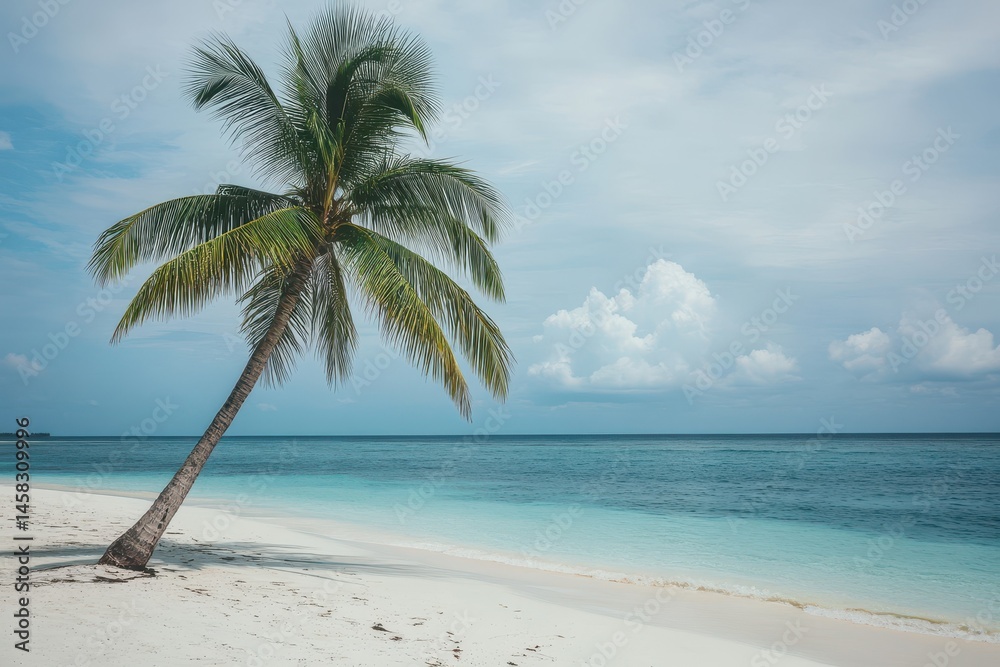 Obraz premium Tropical coastline with a leaning palm tree and serene blue waters under a cloudy sky, Exotic background of sea coast on tropical island with lonely green palm tree