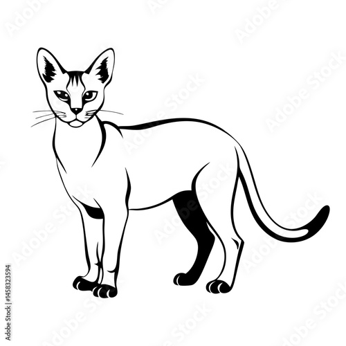 Chausie cat standing gracefully with sleek black outline and sharp features