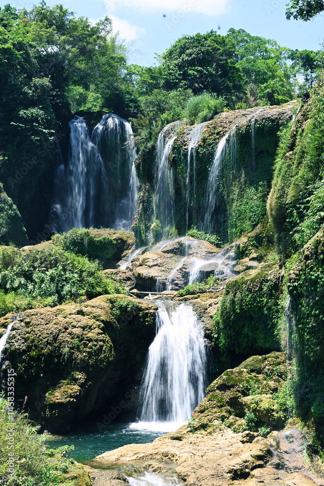 Fototapeta premium waterfall in the forest