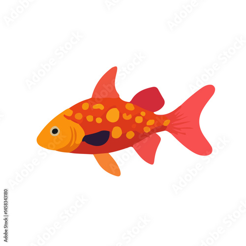 goldfish on white background