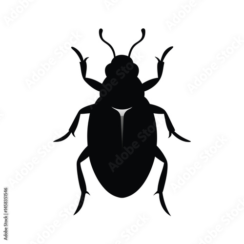 colorado potato beetle