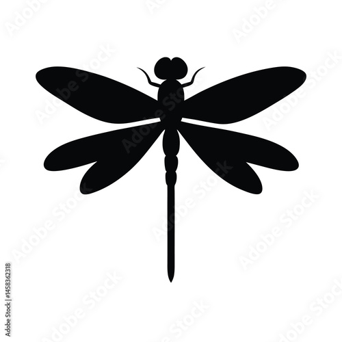 dragonfly on white background