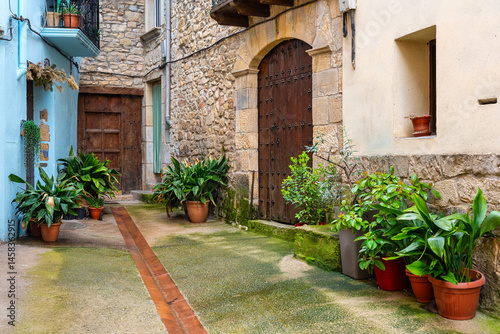Obraz na płótnie Picturesque street with pots with flowers and green plants at the foot of the doors of the houses, Teruel, Rafales. w salonie