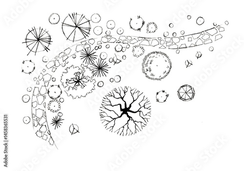 Black and white top view landscape plan with trees shrubs and curved pathway in hand drawn architectural sketch style