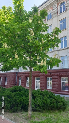 house in the park