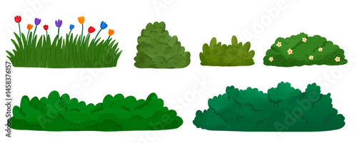 green grass, bush - with flower watercolor illustration collection set
