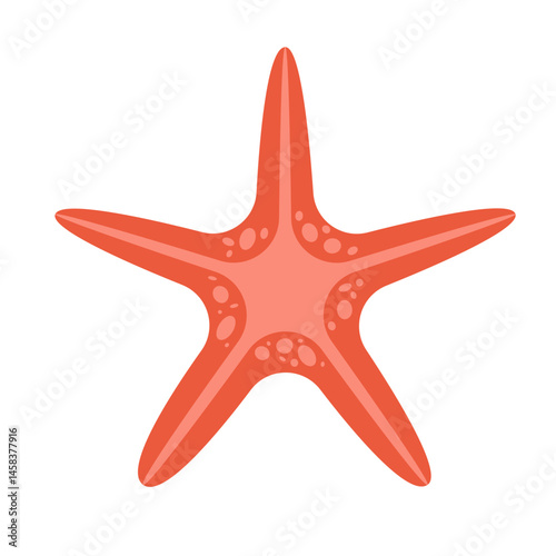 Starfish Illustration