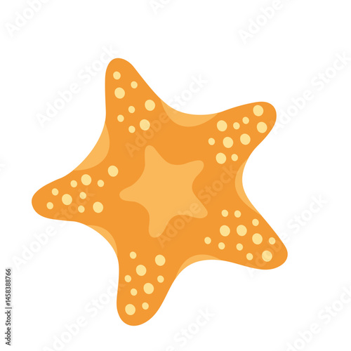 Starfish illustration