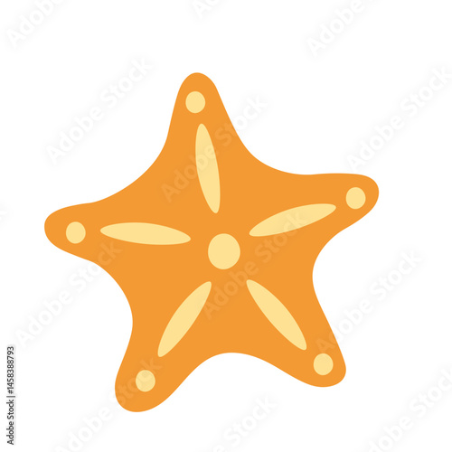 Starfish illustration