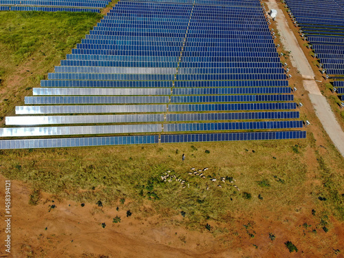 Solar farm in Malawi, Africa. It is a 20 mega watt farm that will produce electricity for the national grid.