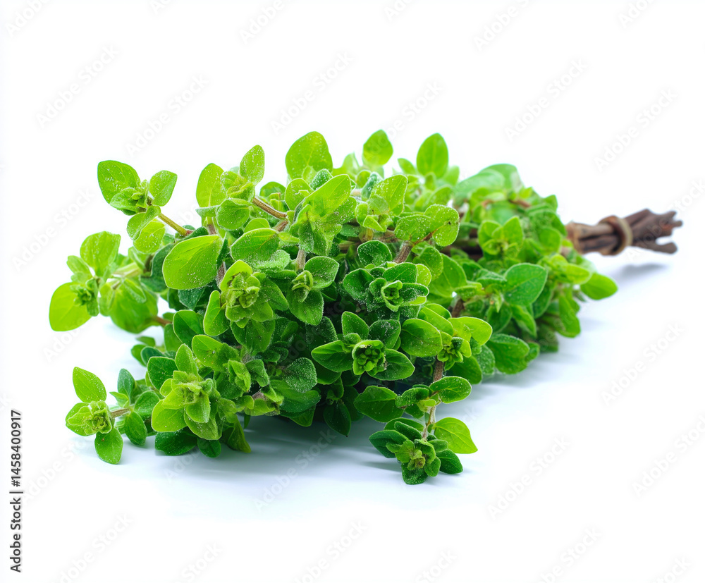 Obraz premium Oregano on isolate white background