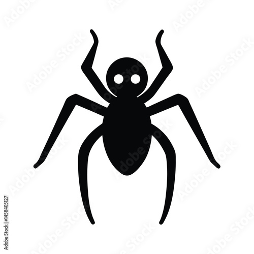 spider on a white background