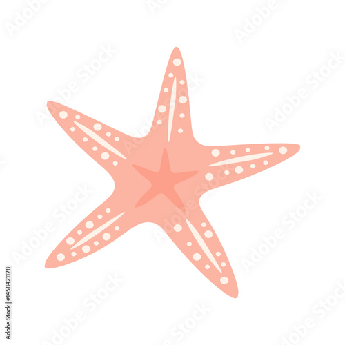 Starfish illustration
