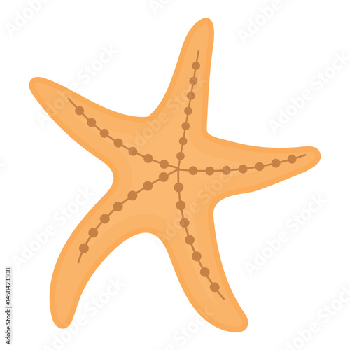 Starfish Illustration