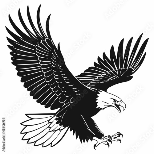 bald eagle vector illustration