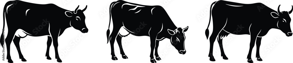 Obraz premium Cow Silhouette Collection