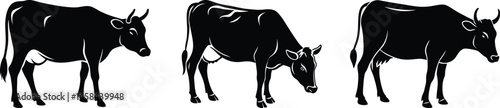 Cow Silhouette Collection