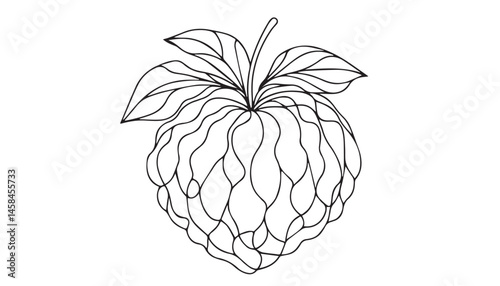 Continuous one single minimal line drawing custard apple