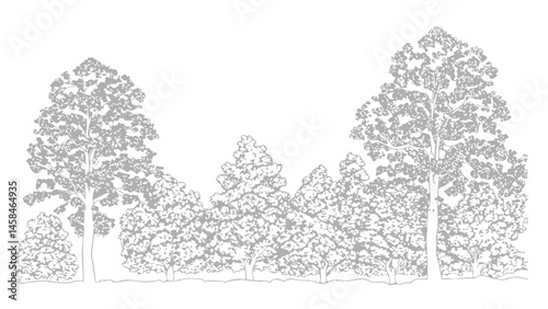 A detailed architectural drawing of a dense forest elevation, featuring a variety of deciduous and coniferous trees with intricate line work and fine textures.