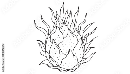 Continuous one single minimal line drawing dragon fruit