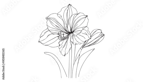 Wallpaper Mural Continuous one single minimal line drawing Lily Torontodigital.ca