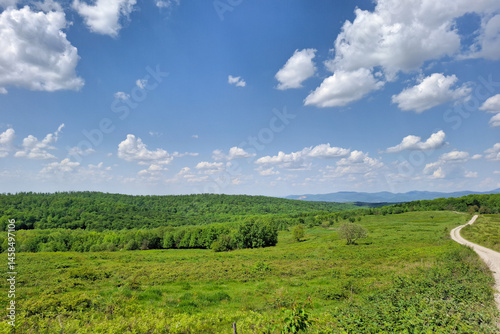 Green landscape in the spring. In Maramures county, Romania