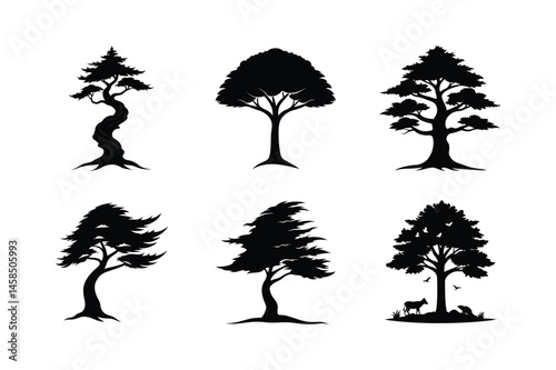 Cedar Tree Silhouette Vector Bundle | SVG  Clip art for Nature & Outdoor Designs