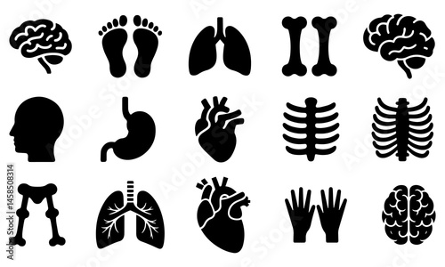 Human Body Parts Vector Set Illustration of Legs, Arms, Brain, Stomach, Feet, Lungs and Heart on White Background