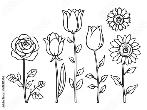 Artificial Flowers Clear Vision Simple Line Art