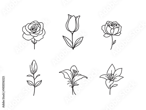 Simple Line Art of Artificial Flowers