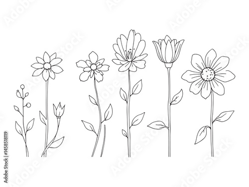 Minimalist Artificial Flowers Illustrations