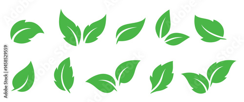 Green leaves vector set icons