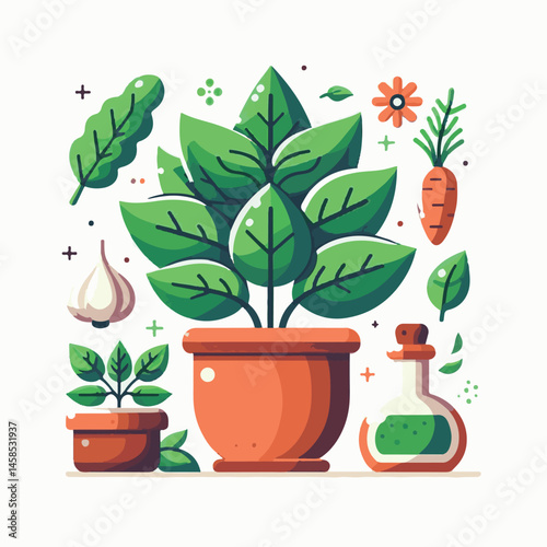 herb, fresh, leaf, green, basil, italian, background, herbal, food, raw, healthy, isolated, culinary, vegetarian, ingredient, vegetable, white, natural, organic, cooking, spice, closeup, plant, leaves
