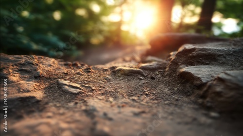 Sunlit trail through rocks photo