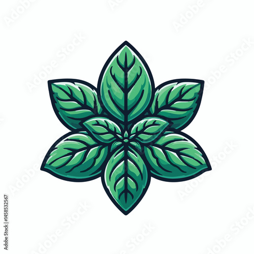 herb, fresh, leaf, green, basil, italian, background, herbal, food, raw, healthy, isolated, culinary, vegetarian, ingredient, vegetable, white, natural, organic, cooking, spice, closeup, plant, leaves