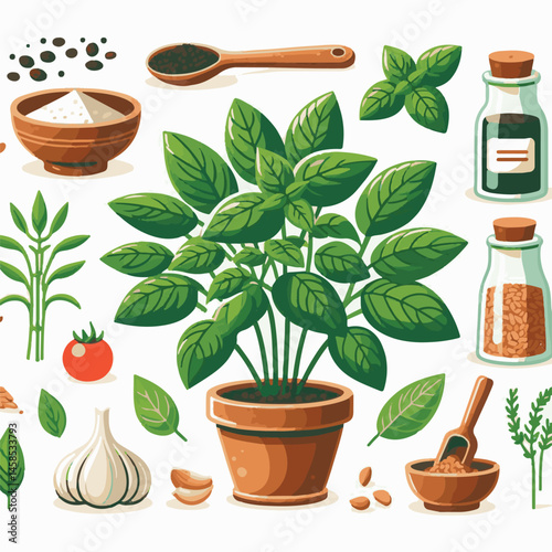herb, fresh, leaf, green, basil, italian, background, herbal, food, raw, healthy, isolated, culinary, vegetarian, ingredient, vegetable, white, natural, organic, cooking, spice, closeup, plant, leaves