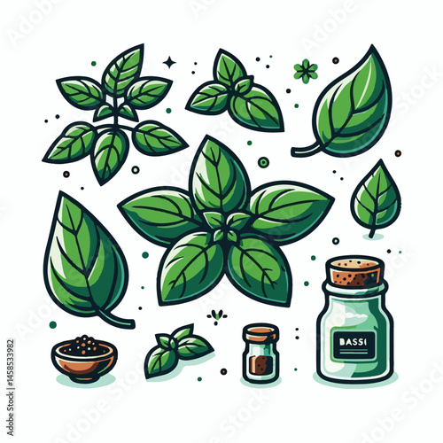 herb, fresh, leaf, green, basil, italian, background, herbal, food, raw, healthy, isolated, culinary, vegetarian, ingredient, vegetable, white, natural, organic, cooking, spice, closeup, plant, leaves